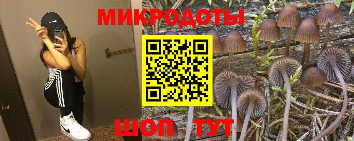 Псилоцибиновые грибы ЛСД Екатеринбург